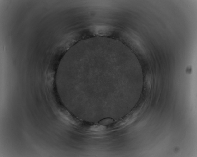 X0000101480271200807141422