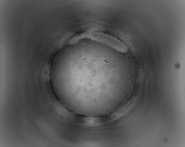 X0000101480273200807141422