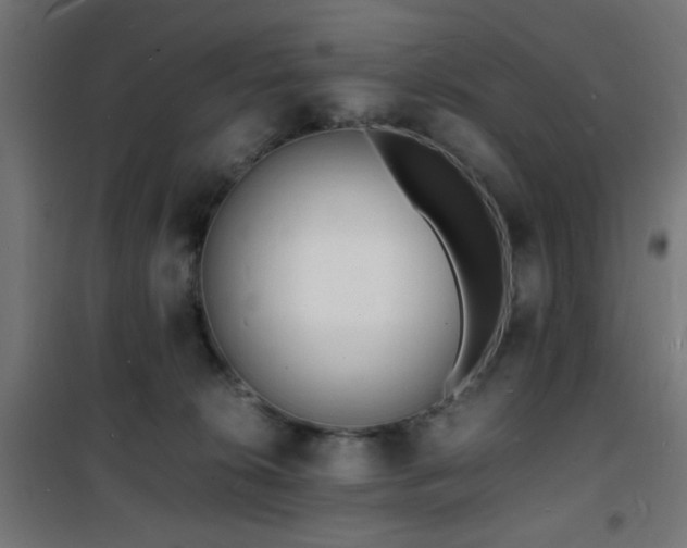 X0000101480276200807141422