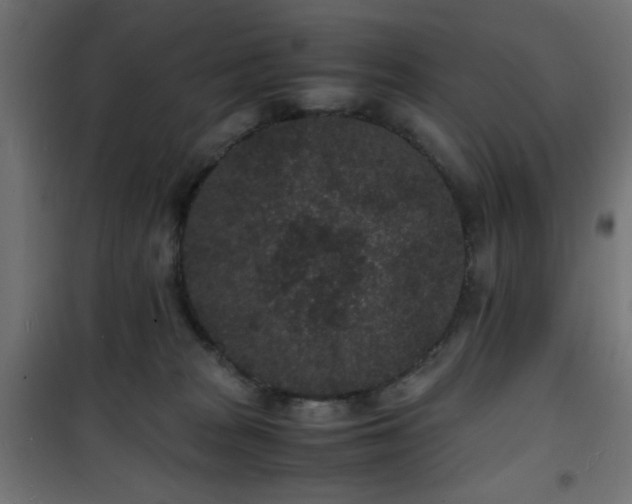 X0000101480277200807141422