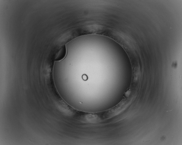 X0000101480279200807141422