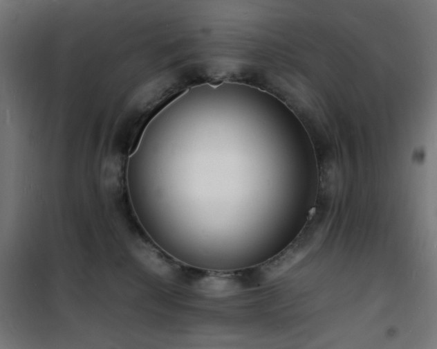 X0000101480280200807141422