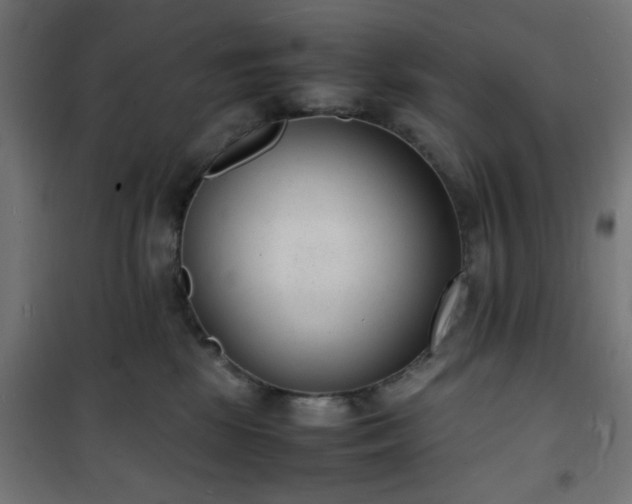 X0000101480281200807141422