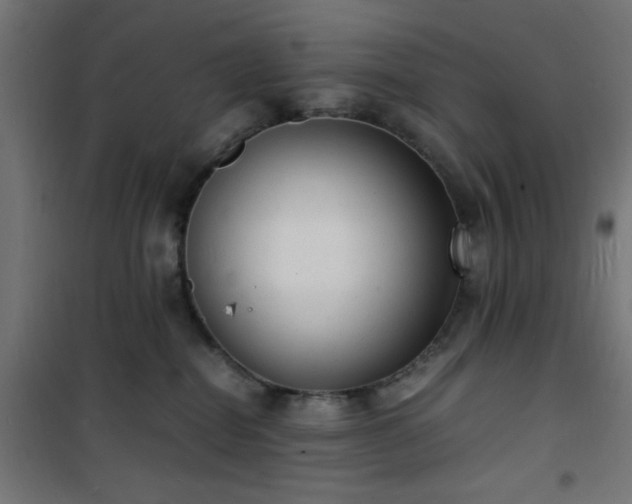 X0000101480282200807141422