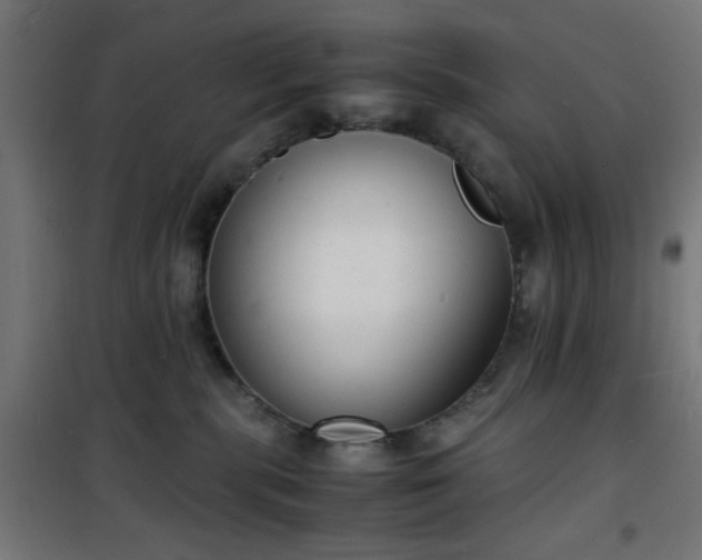 X0000101480283200807141422