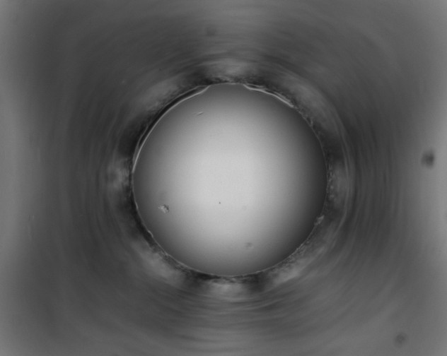 X0000101480284200807141422