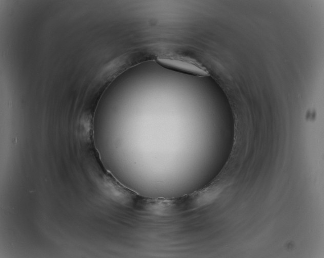 X0000101480288200807141422