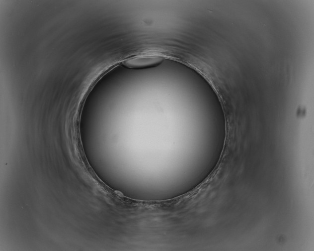 X0000101480289200807141421