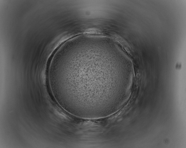 X0000101480290200807141421