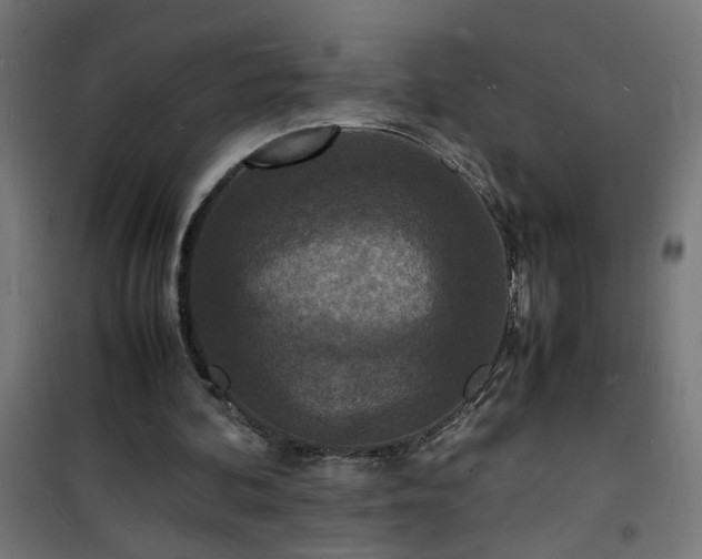 X0000101480292200807141421