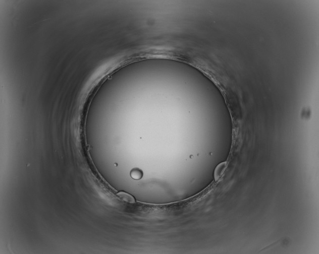 X0000101480293200807141421