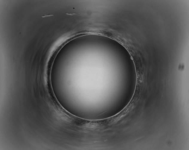 X0000101480294200807141421