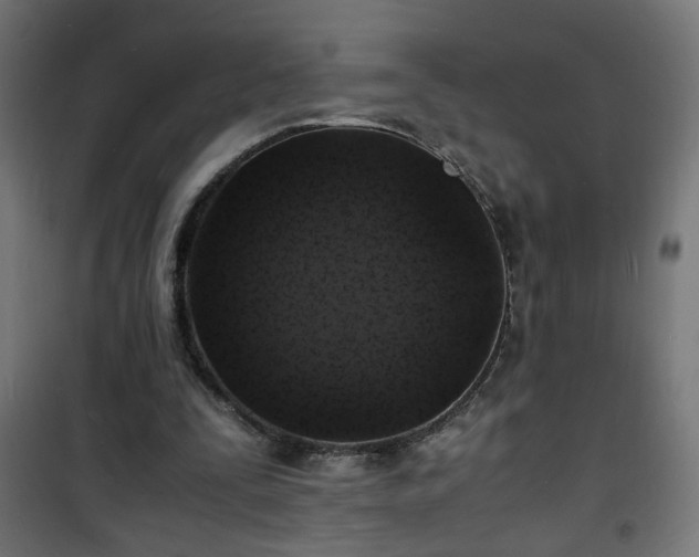 X0000101480295200807141421