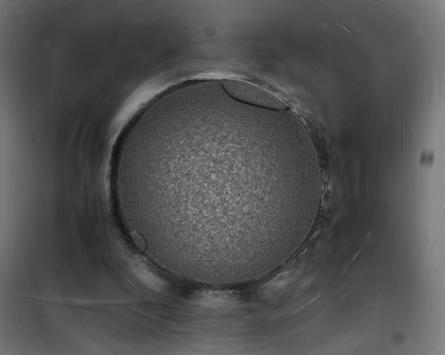 X0000101480296200807141421