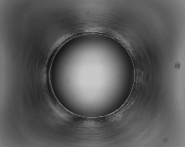 X0000101480298200807141421