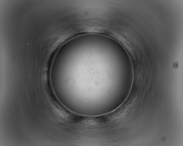 X0000101480299200807141421