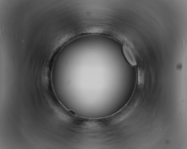 X0000101480300200807141421