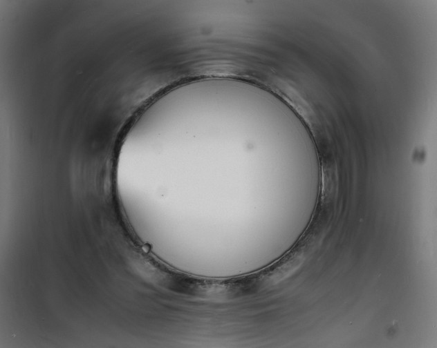 X0000101480301200807141421