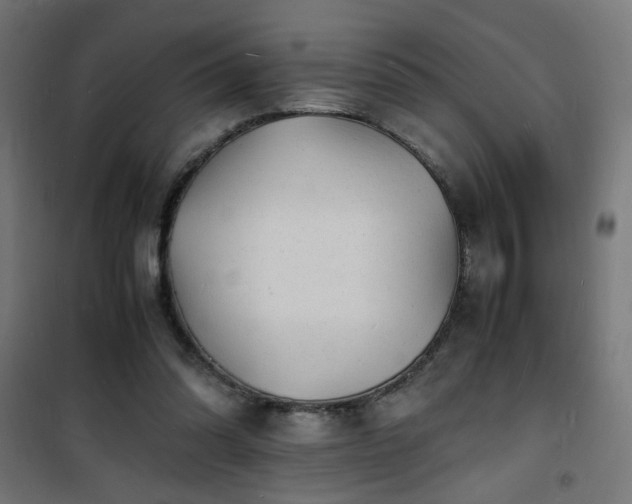 X0000101480302200807141421