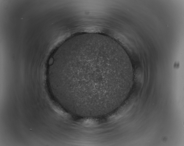 X0000101480303200807141421