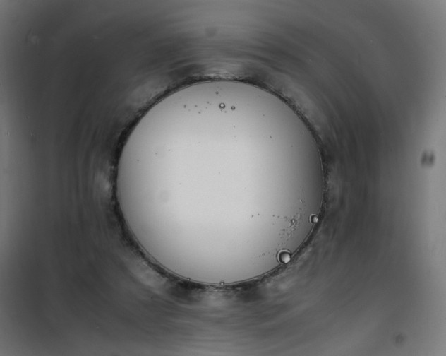 X0000101480305200807141421