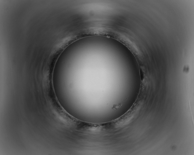 X0000101480306200807141421