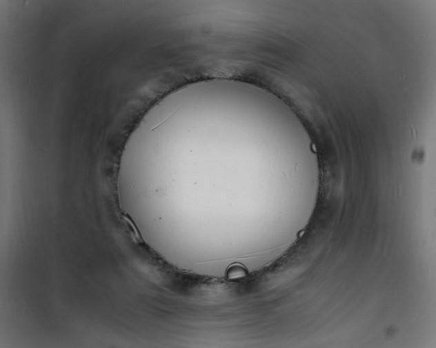 X0000101480307200807141421