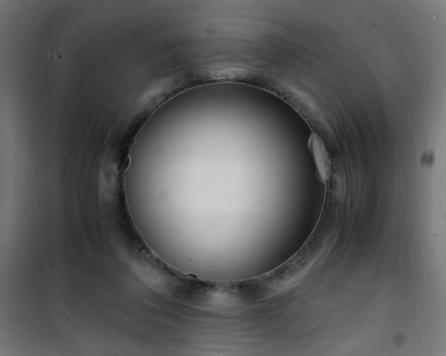 X0000101480308200807141421