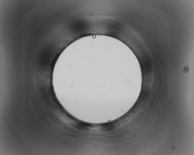 X0000101480309200807141421