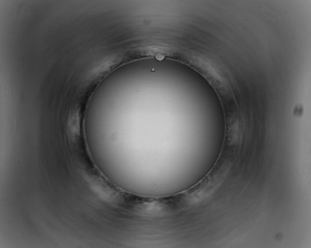 X0000101480310200807141421