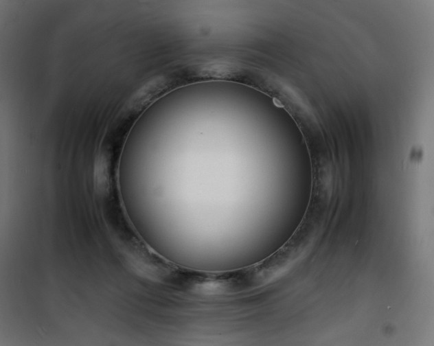 X0000101480312200807141421