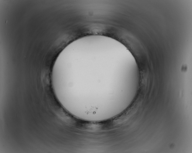 X0000101480313200807141421