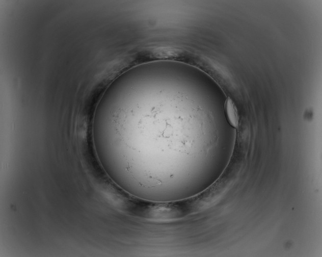 X0000101480315200807141421