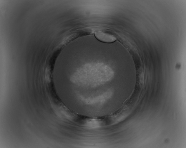 X0000101480316200807141421