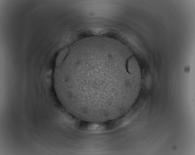 X0000101480319200807141421