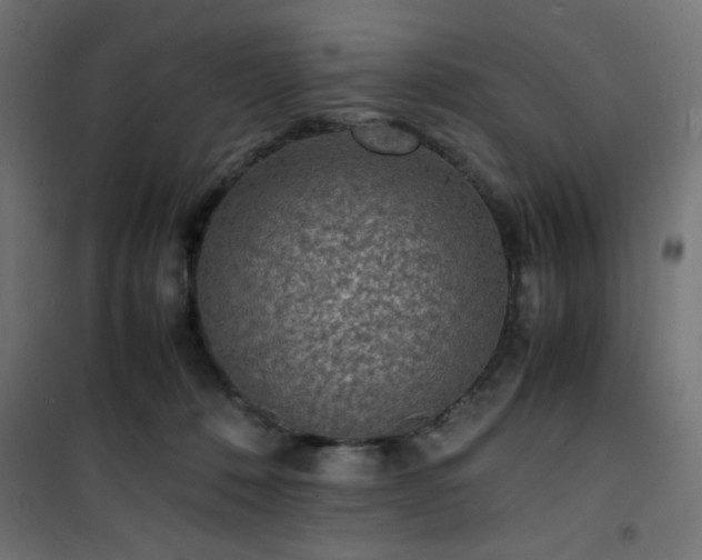 X0000101480320200807141421