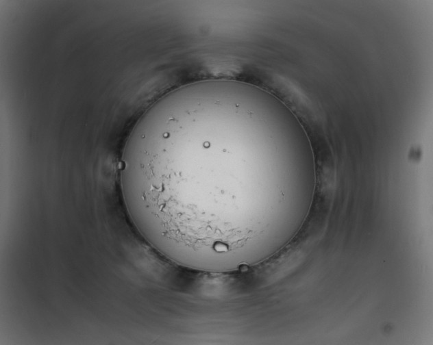 X0000101480321200807141421