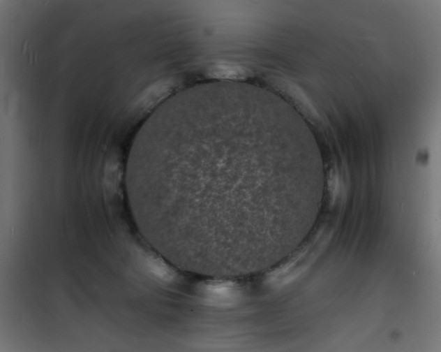 X0000101480322200807141421