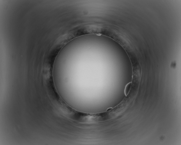 X0000101480323200807141421