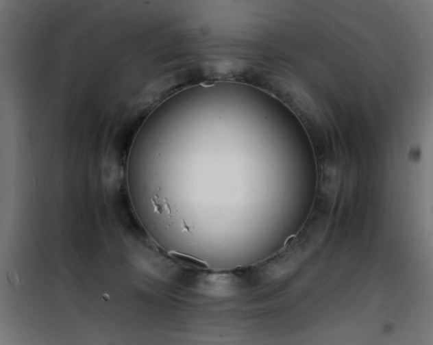 X0000101480324200807141421