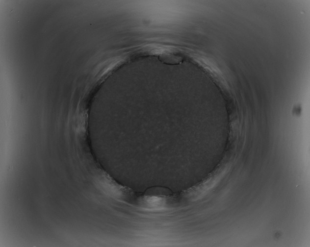 X0000101480325200807141421