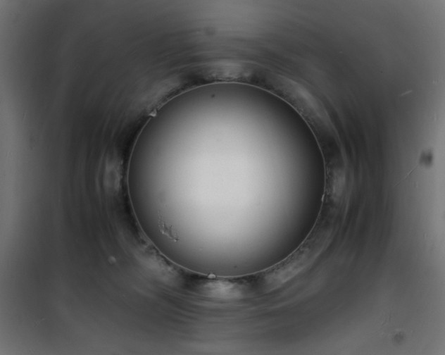 X0000101480326200807141420