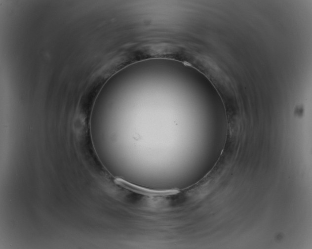 X0000101480327200807141420