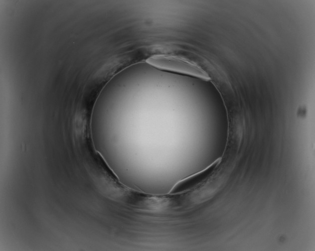 X0000101480328200807141420