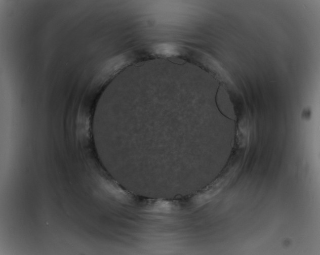 X0000101480330200807141420