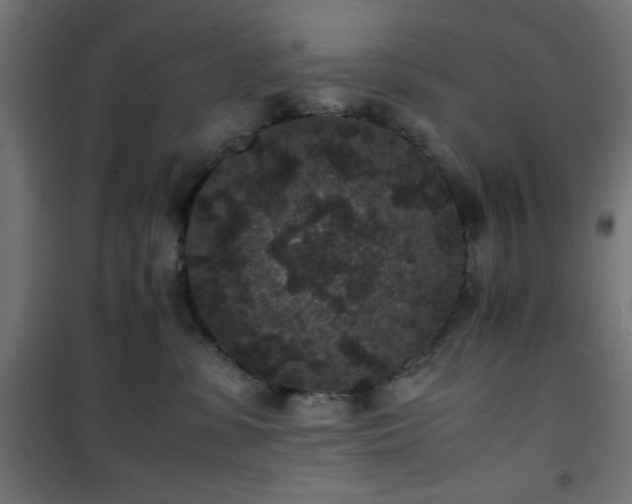 X0000101480331200807141420