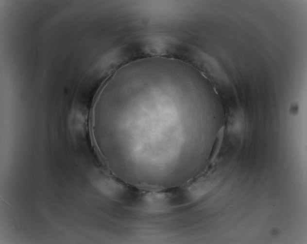 X0000101480332200807141420