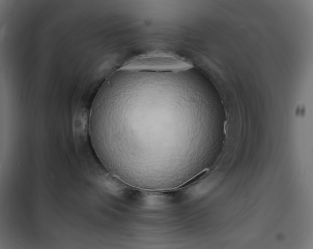 X0000101480336200807141420