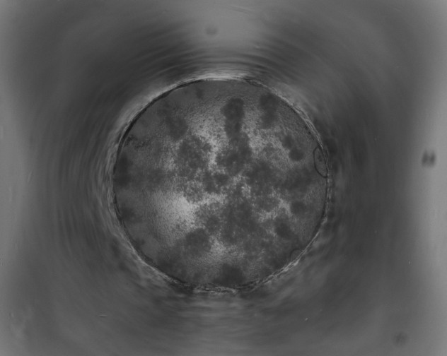 X0000101480337200807141420