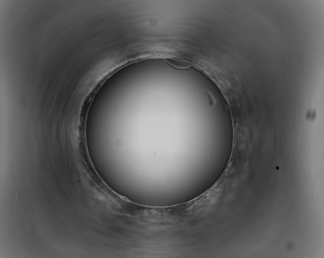 X0000101480338200807141420